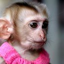 ���� ������, ���������, 40 ��� - ��������� 4 ������ 2014 � ������ ���� ����������