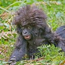 ���� ������, ��������, 60 ��� - ��������� 17 �������� 2014 � ������ ������ ��������