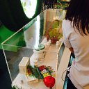 ���� ������, ������, 59 ��� - ��������� 8 ������� 2014 � ������ ������ ��������