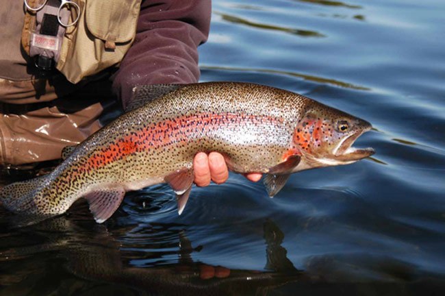 ����� ������� - 26 ������ 2014 � 13:51
