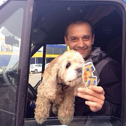 ���� ����, �����, 49 ��� - ��������� 17 ������� 2014