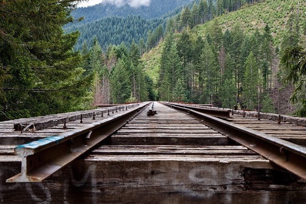      .The Vance Creek Bridge  ,   1929    ...