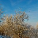 ������ ���� �� ������� �������