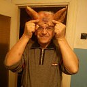 ���� ������, �������, 65 ��� - ��������� 28 �������� 2014