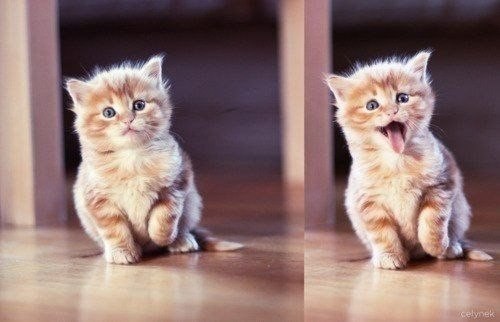 Эй ты! Да, да,ты, по ту сторону экрана. Счастья тебе и огромной любви!