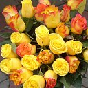 ���� ������� �����, ��������� - ��������� 6 �������� 2014 � ������ ������ ��������