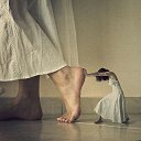 ���� ������, ��������, 54 ���� - ��������� 12 ������� 2014 � ������ ������ ��������