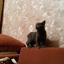 ���� �������, ���������, 39 ��� - ��������� 28 ������� 2014 � ������ ���� ����������