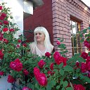 ���� ������, ����������� - ��������� 15 ������ 2014 � ������ ���� ����������