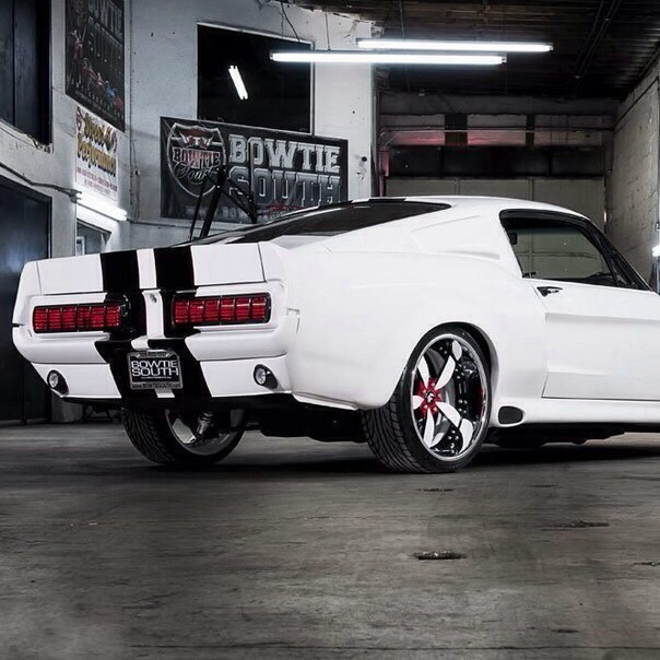 '67 Ford Shelby - 4