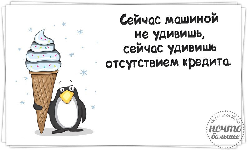 сегодня удивляют. смешные статусы про настроение. сегодня удивляют. нелепый кот. сегодня удивляют.