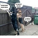 ���� @��., ������ - ��������� 27 �������� 2014 � ������ ������ ��������