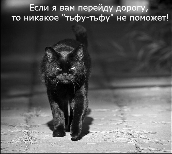  - 24  2014  08:11