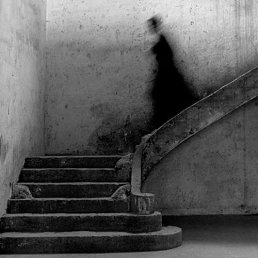 ����, ���������