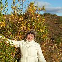 ���� ������, ����������, 73 ���� - ��������� 10 ������ 2014 � ������ ���� ����������