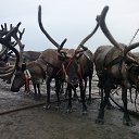 ���� ������, ��������, 56 ��� - ��������� 9 ������� 2014 � ������ ���� ����������