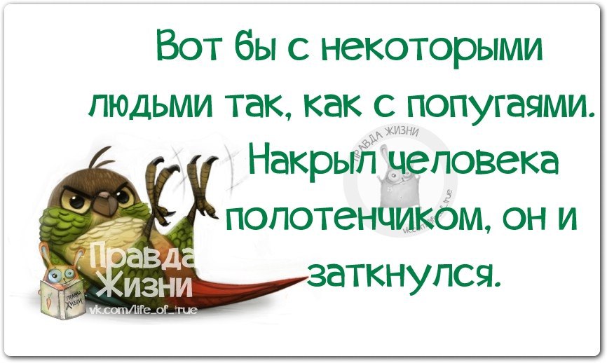 Вот бы. Правда жизни цитаты. Сарказм правда жизни. Урытт человека словами. Фразочки чтобы укрыть.