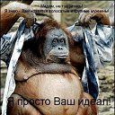 ���� ������, ������ - ��������� 23 ������� 2014 � ������ ���� ����������