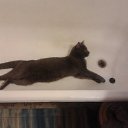 ���� ���������, ������, 44 ���� - ��������� 8 ������ 2014 � ������ �SUSANNA�