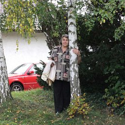 ���� ������, ���������, 73 ���� - ��������� 10 ������� 2014