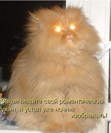 ����� � ����� | ������ ������� - 14 �������� 2014 � 11:58