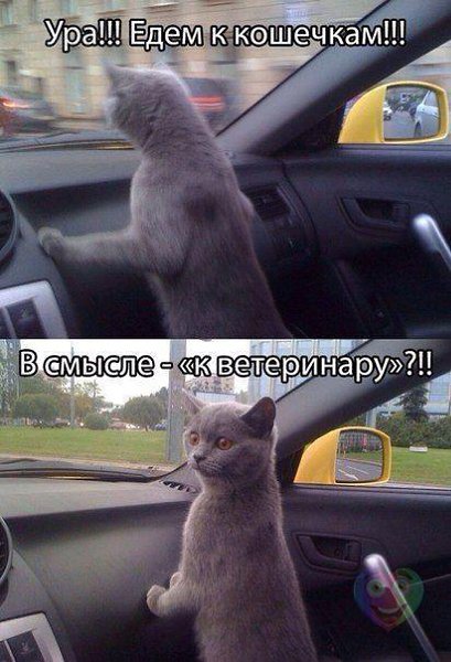 Art & Fun - 18  2014  08:57