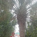 ���� ���������., ������, 75 ��� - ��������� 27 ������ 2014 � ������ ���� ����������