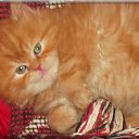 ���� �������, ���� - ��������� 23 ������� 2014 � ������ ���� ����� �����)))�