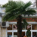 ���� ��������, ���������, 61 ��� - ��������� 21 �������� 2014