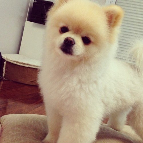 Fashion Club - 8  2014  17:58