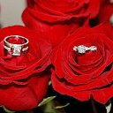 ���� Yuliya, �����������-��-�����, 41 ��� - ��������� 2 ������� 2014 � ������ ������ ��������