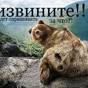 ���� ������, ��������, 46 ��� - ��������� 5 ������ 2014 � ������ ���� ����������
