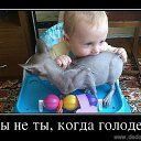 ���� �����, ��������, 40 ��� - ��������� 15 ������� 2014 � ������ ������ ��������