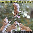 ���� ����������, ������, 49 ��� - ��������� 22 �������� 2014 � ������ ������ ��������