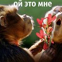 ���� Valentina, ������ - ��������� 9 ������� 2014 � ������ �....�