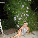 ���� ����, ���������, 58 ��� - ��������� 31 ������� 2014 � ������ ��������