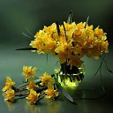 ���� �����, ��������� - ��������� 19 ������� 2014 � ������ ��� �� �����