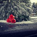 ���� ���������, ����������, 34 ���� - ��������� 4 ������� 2014 � ������ ������ ��������