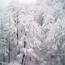 ���� �������, ����, 66 ��� - ��������� 14 �������� 2014 � ������ ������ ��������