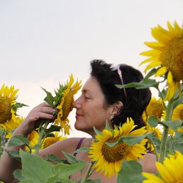 ���� �����, ������, 62 ���� - ��������� 15 ������ 2014