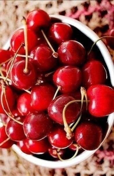 Пик хочет черешню. Кошка черешня. Кот объелся черешни. Хочу черешню. Вишневый фон.