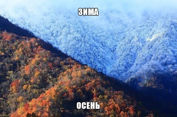 Art & Fun - 14  2014  07:06