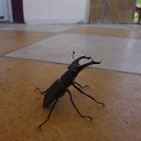 ���� ��������, ������, 52 ���� - ��������� 9 ������� 2014 � ������ ���� ����������