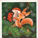 ���� �����, ������ - ��������� 10 ������� 2014 � ������ ���� ����������