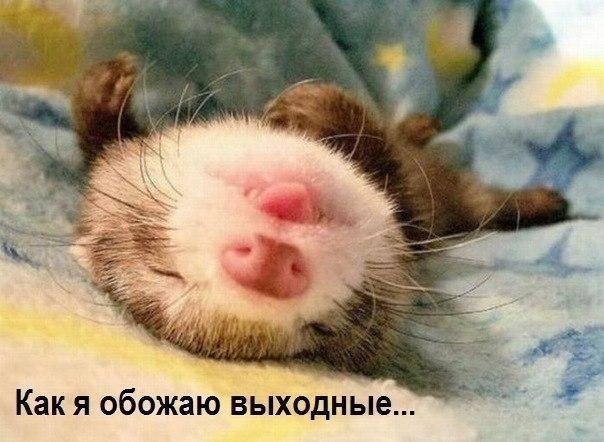    :D - 23  2014  15:07