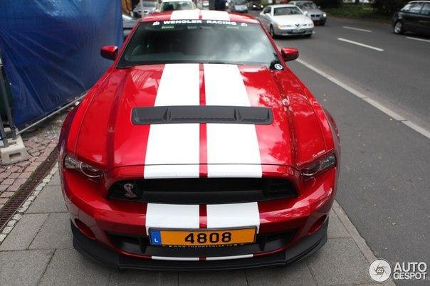 Shelby GT500 '2013