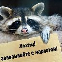 ���� �������, �����-���������, 47 ��� - ��������� 18 ������� 2014 � ������ ������ ��������