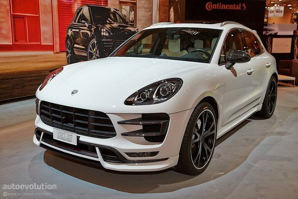 Techart Porsche Macan.3.6 V6: 450 .. : 620 :   : ...