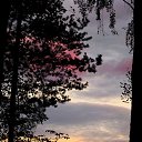 ������ 2014. �����. �� ������� ������Ż