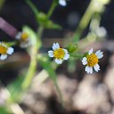 ����������� �� ������� ���� ����������